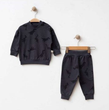 Neugeborenen-Set Grau Dinos – Trendiger Look und Komfort für Babys 🦖🖤✨