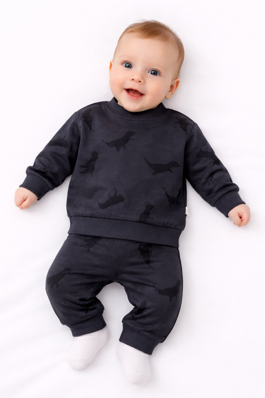 Ensemble naissance gris dinosaures – Look tendance et confort pour bébé 🦖🖤✨